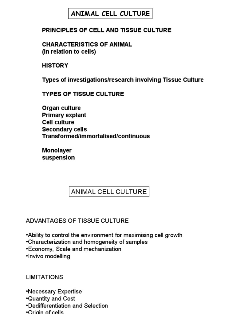 application of animal cell culture pdf conclusion of animal tissue culture